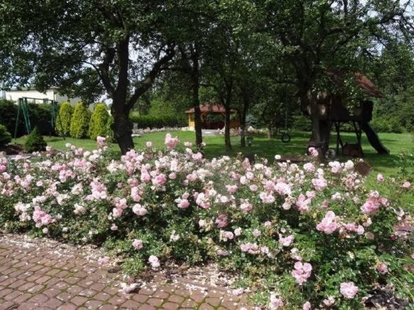 Skalny Apartamenty, Pokoje Ogrodzieniec Exterior foto