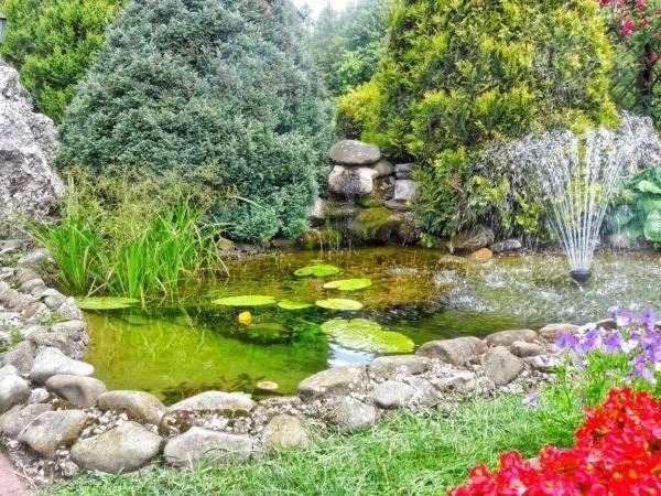 Skalny Apartamenty, Pokoje Ogrodzieniec Exterior foto